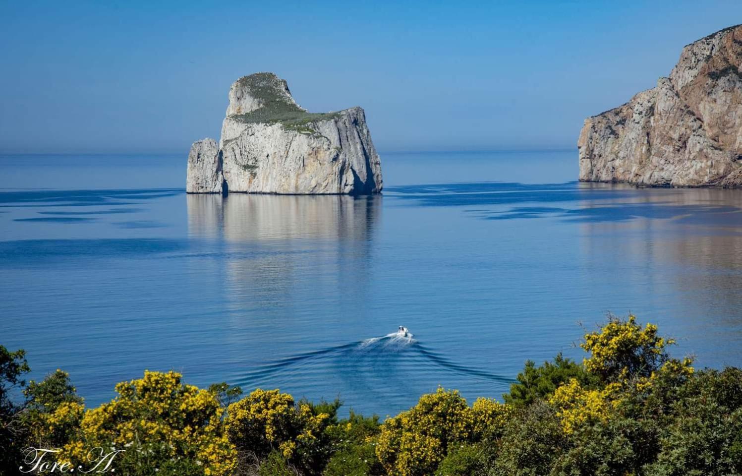 Вилла La Perla E Le Conchiglie Tanca Piras Vista Mare Nebida Экстерьер фото